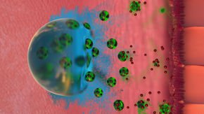 New polymer-coated vitamins and minerals could fight malnutrition in low-income countries