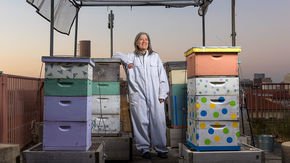 A love of insects and their microbial partners helped this biologist reveal secrets of symbiosis