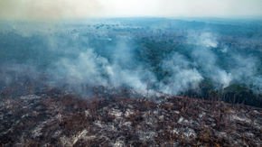 Brazil’s deforestation is exploding—and 2020 will be worse