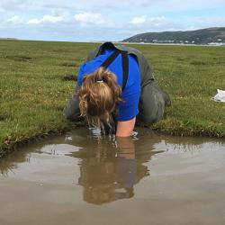 Women in STEM: Fiona Llewellyn-Beard