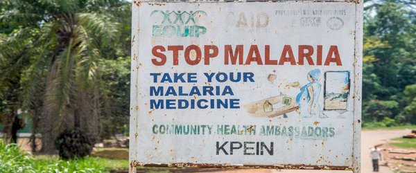 Malaria cases are falling worldwide