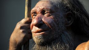 Early humans domesticated themselves, new genetic evidence suggests