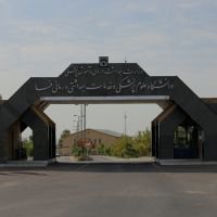 با ایثار خانواده های بیماران مرگ مغزی؛ رتبه دوم اهداء عضو در  کشور به شهرستان فسا رسید