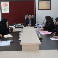 معاون بهداشت دانشگاه علوم پزشکی فسا اعلام کرد؛ تامین داروی مورد نیاز بیماران مبتلا به آنفلوانزا در شهرستان فسا