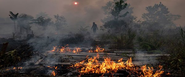 Research group takes down controversial Indonesia fire analysis