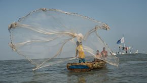 Modern fishing methods are driving small whales and dolphins to extinction