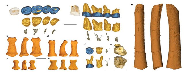 Here’s What 2019 Scientific Discovery Taught Us About Our Human Origins