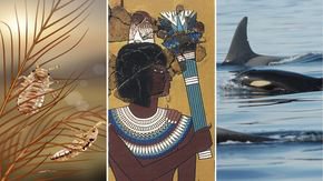 Top stories: Dinosaur lice, mysterious Egyptian head cones, and the importance of grandmother whales