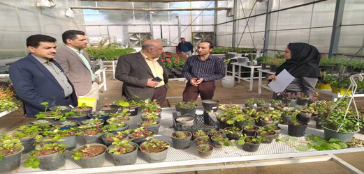 بازدید کارگروه اقتصادی سازمان مدیریت و برنامه ریزی لرستان از برخی پروژه های اقتصاد مقاومتی دانشگاه لرستان