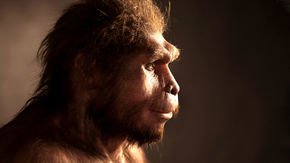 Ancient human species made ‘last stand’ 100,000 years ago on Indonesian island