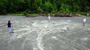 Scientists have discovered the world’s oldest forest—and its radical impact on life