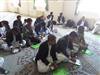 برگزاری دوره آموزشی Gps در سالن اجتماعات مدیریت جهاد کشاورزی شهرستان خاش استان سیستان وبلوچستان