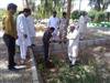 غرس 400 درخت در هفته درختکاری در مرکز تحقیقات وآموزش کشاورزی ومنابع طبیعی بلوچستان