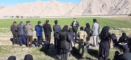 برگزاری کارگاه آموزشی برای کارشناسان پهنه در شهرستان حاجی آباد هرمزگان