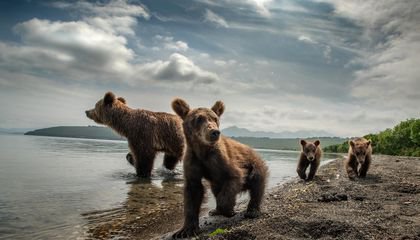 This Photographer Goes to the Ends of the Earth to Capture Rarely Viewed Animals