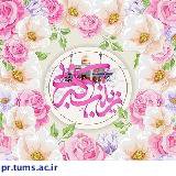 فرخنده میلاد تجلی صبر حضرت زینب کبری(س) و روز پرستار مبارک باد