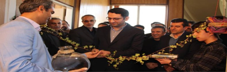 مرکز نوآوری و توسعه تعاون دانشگاه کردستان افتتاح شد