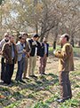برگزاری روز مزرعه انتقال یافته های تحقیقاتی و چغندر علوفه ای در استان لرستان