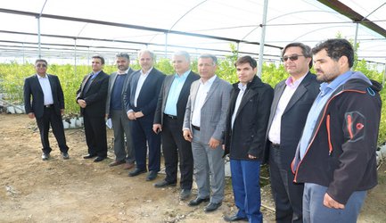 دکتر کاظم خاوازی معاون وزیر و رئیس سازمان در  بازدید از مرکز تحقیقات و آموزش کشاورزی و منابع طبیعی جنوب کرمان (جیرفت) میزان پیشرفت پروژه های تحقیقاتی مرکز را  مورد بررسی قرار داد