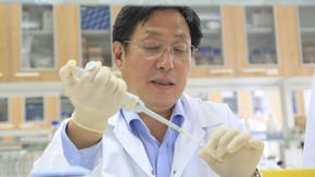 Mystery virus found in Wuhan resembles bat viruses but not SARS, Chinese scientist says