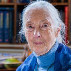 Dr Jane Goodall on the environment: "My greatest hope is our young people"