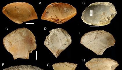 To Craft Cutting Tools, Neanderthals Dove for Clam Shells on the Ocean Floor