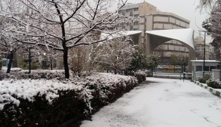 دانشگاه تهران در برف ...