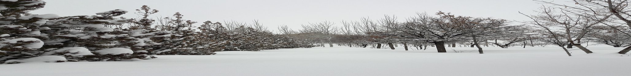 زیبایی های زمستان در دانشگاه صنعتی سهند