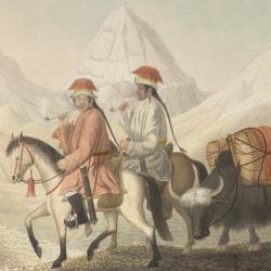 Pride and prejudice at high altitude