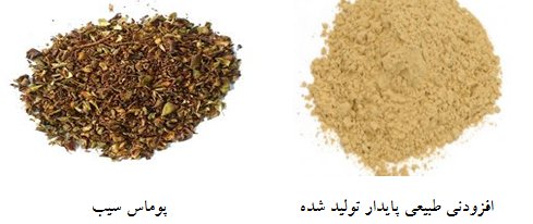 استخراج عصاره پوماس سیب با فرآیندهای نوین غیر حرارتی