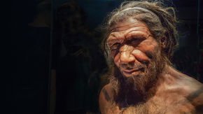 Africans carry surprising amount of Neanderthal DNA