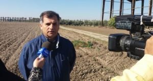 دریافت امتیاز و تقدیر دکتر محمدی پژوهشگر ایستگاه تحقیقات کشاورزی گنبد کاووس از سوی رییس موسسه تحقیقات کشاورزی دیم کشور