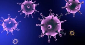 ابلاغ دستورالعمل اقدامات پیشگیرانه از انتشار شیوع و انتقال ویروس کرونا در مرکز تحقیقات و آموزش گلستان