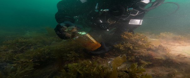 Divers Recover More Than 350 Artifacts From the HMS 'Erebus' Shipwreck