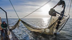 Fishing trawlers could harm water quality by disrupting seafloor microbes