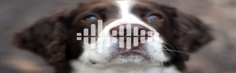 Podcast: Dog noses detect heat, the world faces coronavirus, and scientists search for extraterrestrial life