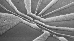 Chance discovery brings quantum computing using standard microchips a step closer