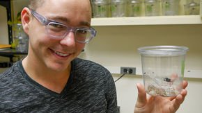 Embattled spider biologist seeks to delay additional retractions of problematic papers