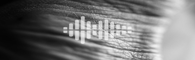 Podcast: Science’s leading role in the restoration of Notre Dame, and the surprising biology behind how our body develops its tough skin