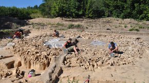 This gnarled pile of fossils was once a giant structure—made of Ice Age mammoths