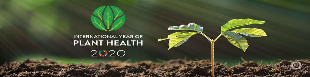 مجمع عمومی سازمان ملل سال ۲۰۲۰ را به عنوان سال جهانی بهداشت گیاهان (IYPH) نامگذاری و اعلام کرد.