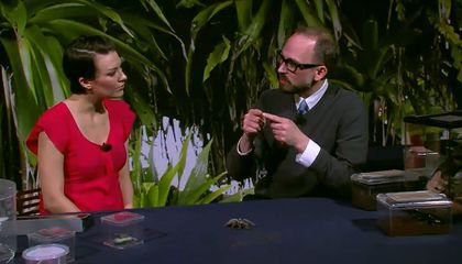 Seven Ways to Learn About Natural History From Home