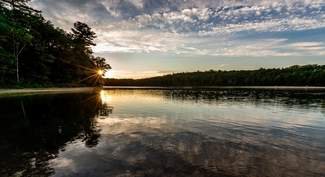 We’re ruining Walden Pond just like we ruin everything beautiful in this world