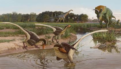New Feathered Carnivorous Dinosaur Found in New Mexico