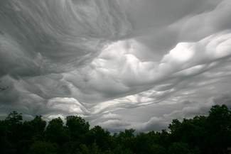 There are still undiscovered species of clouds—and you can find them yourself