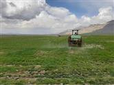 عملیات سمپاشی مزارع چهل هکتاری گندم و نخود شهرستان نورآباد به منظور کنترل علف های هرز انجام شد