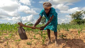 How a team of scientists studying drought helped build the world’s leading famine prediction model