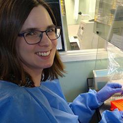 The sequencing of COVID-19