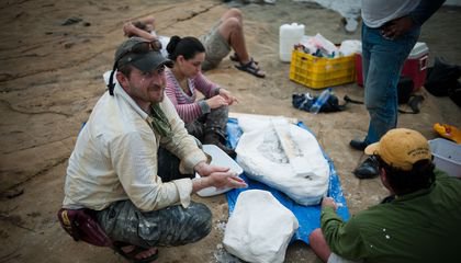 Digging Into the Past to Find Optimism for the Future