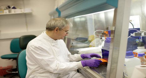 COVID-19 trial begins at Imperial to understand and treat the disease